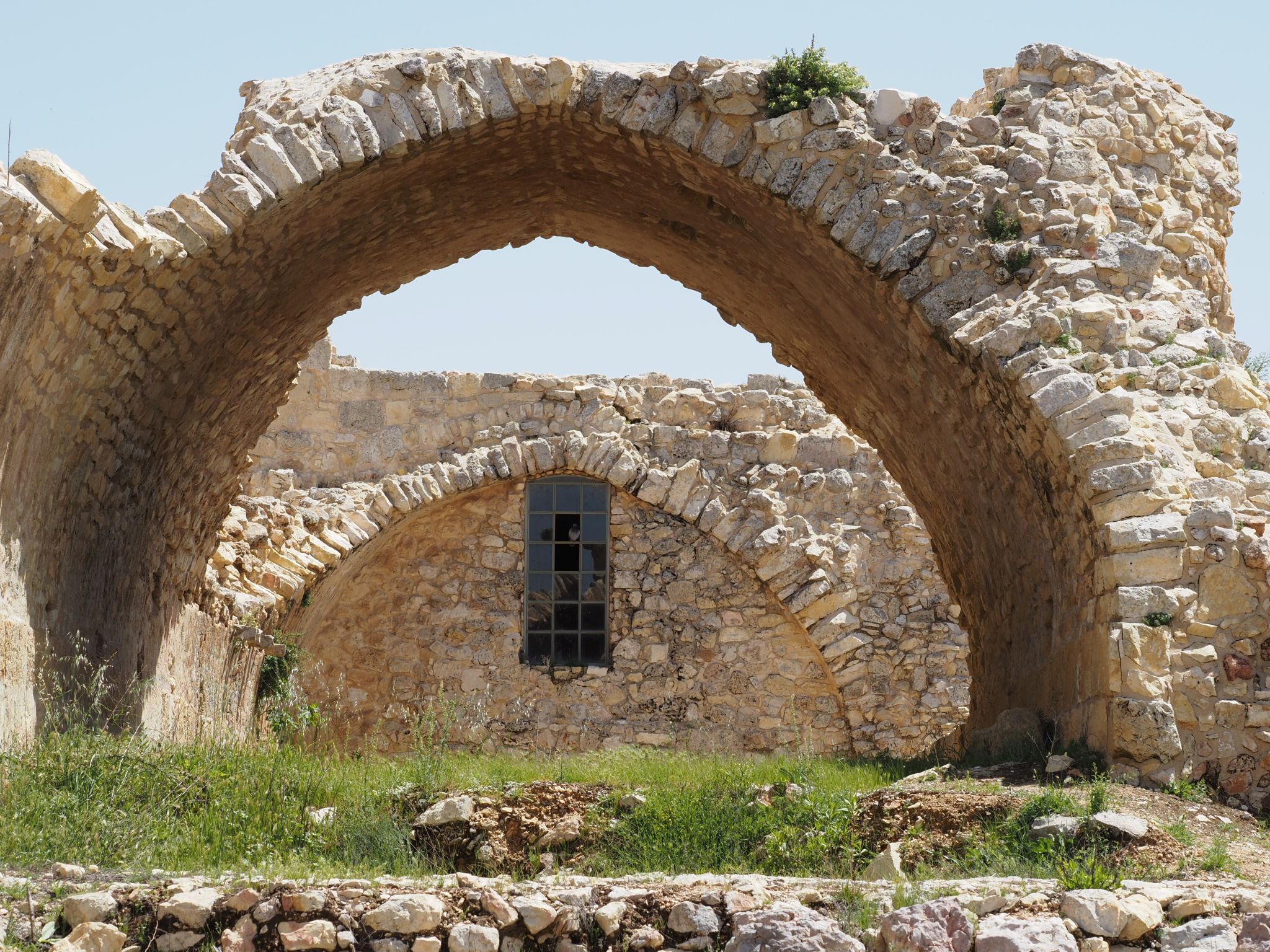 סיור אל תילי השפלה - יד יצחק בן־צבי