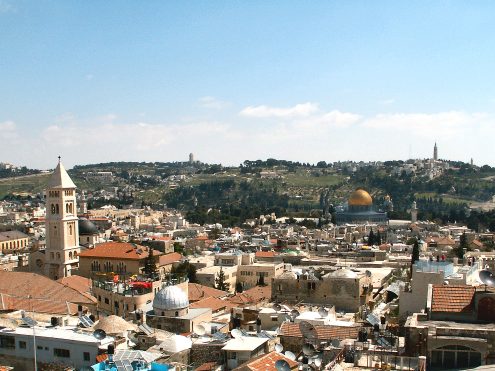 צילום: מיכאל הלפרן