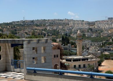 צילום: משה מילנר, לע"מ