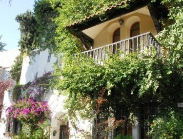 צילום: מוטי בן־ארי