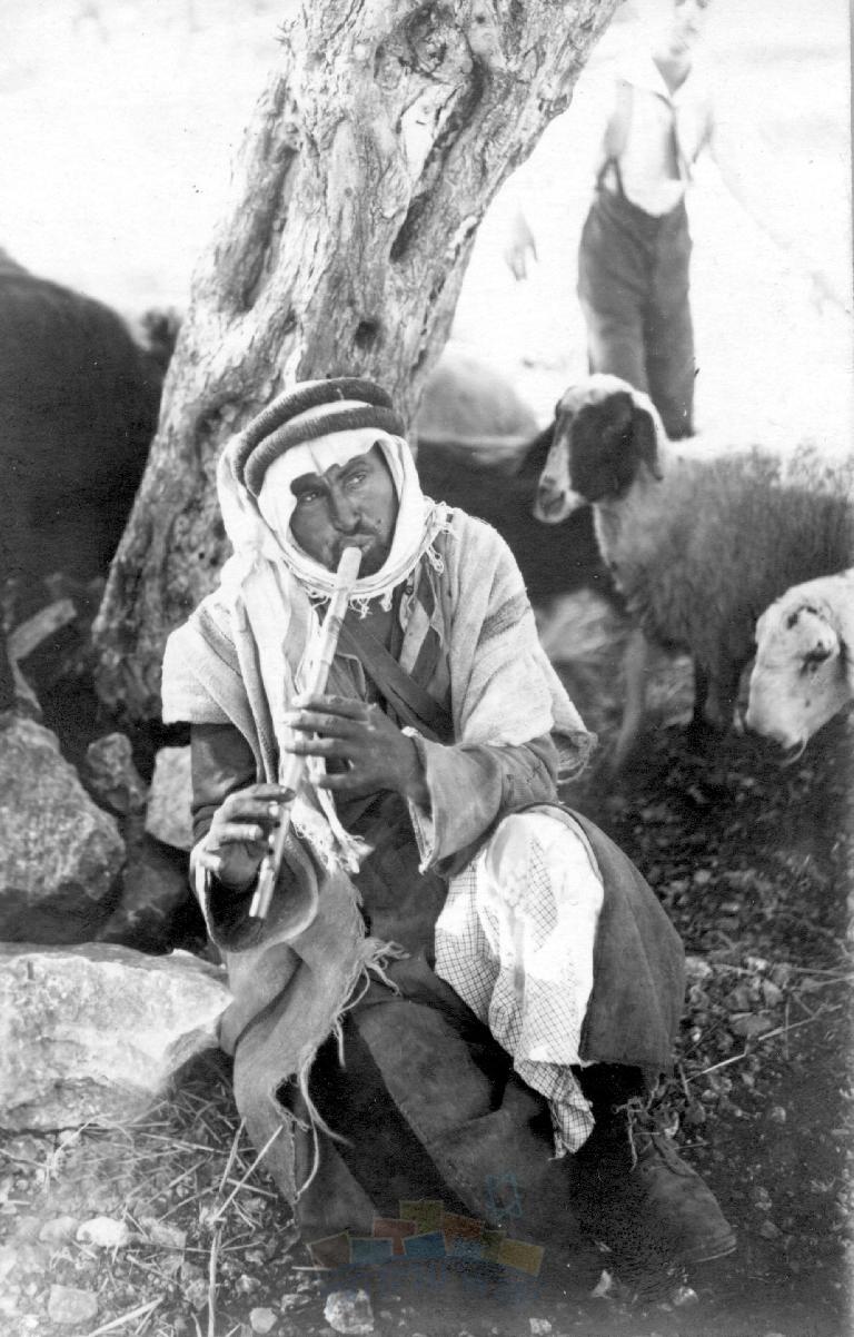 רועה ערבי מחלל (אוסף קנטרוביץ, ארכיון יד בן-צבי)