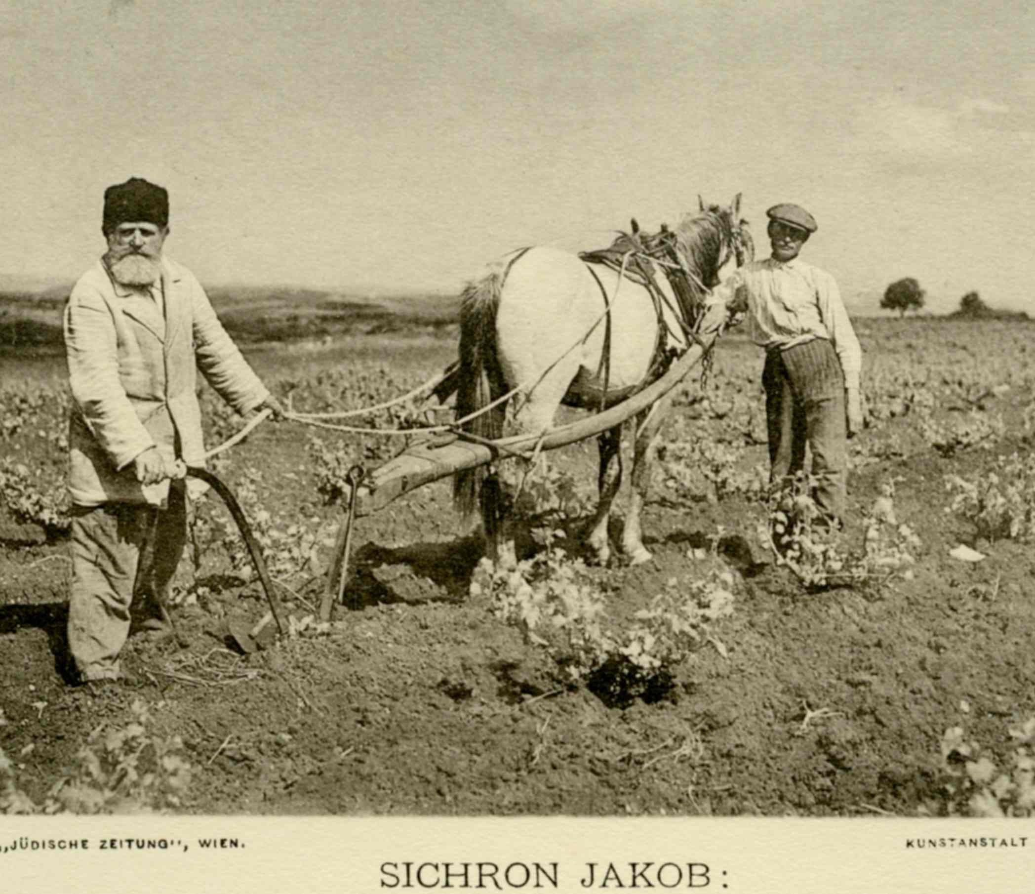 במחרשתי כל אושרי ירשתי: שירי העלייה הראשונה - יד יצחק בן־צבי