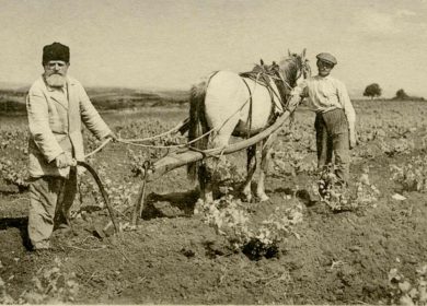 איכר ונכדו חורשים בזכרון יעקב, 1912 (אוסף אלי שילר, ארכיון יב''צ)