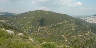 הר דבורה