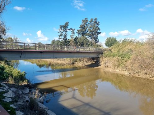 גשר הצבים בנחל אלכסנדר