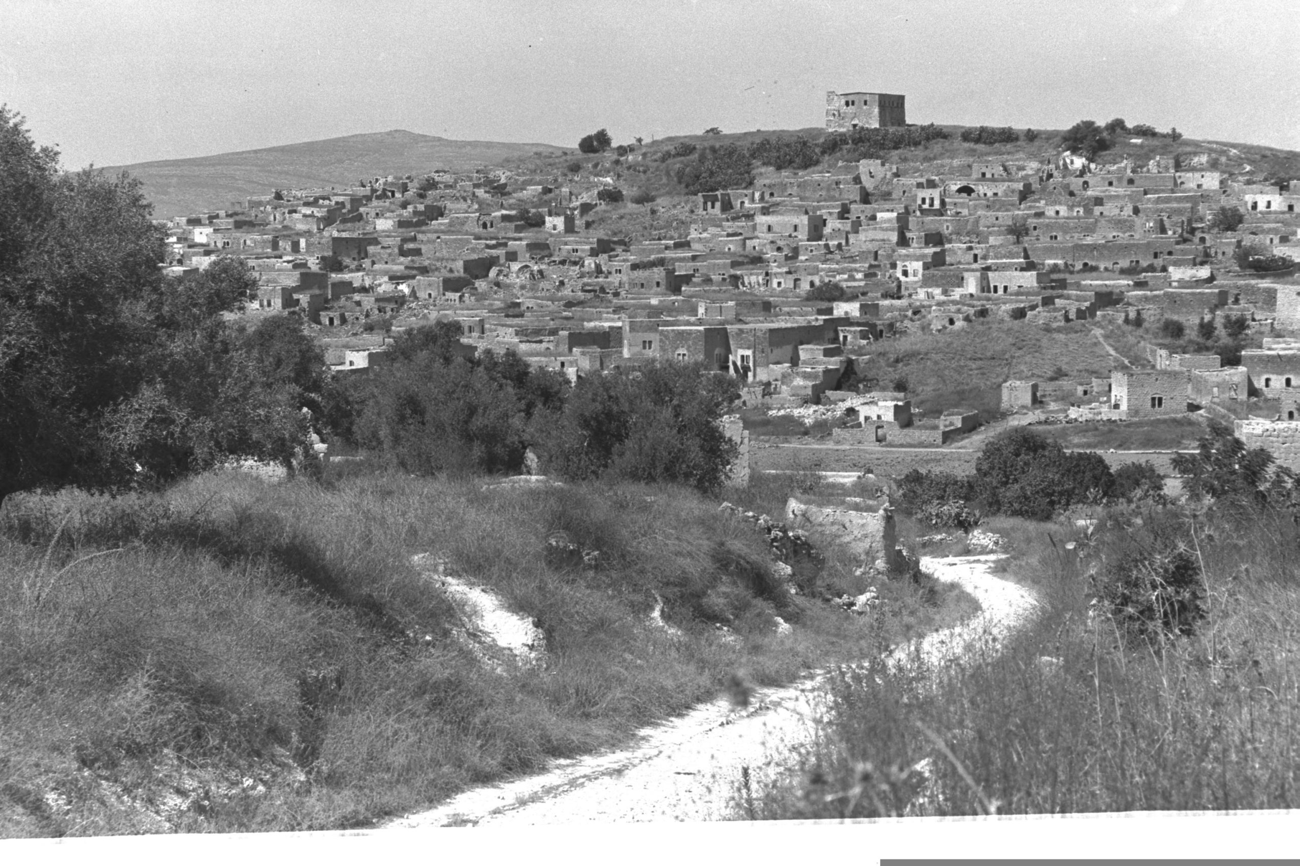 כפר צפוריה (ציפורי) 1949