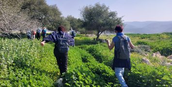 צילום: שרה פרי