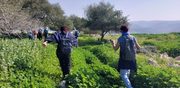 צילום: שרה פרי