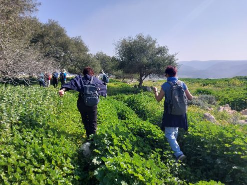 צילום: שרה פרי