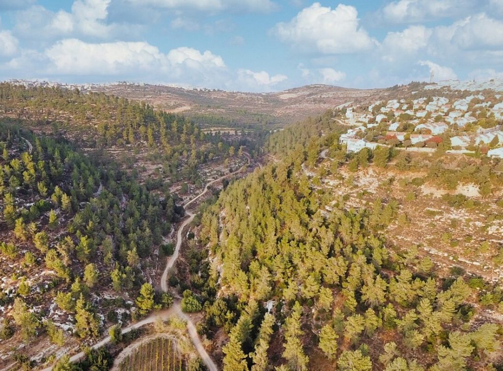 נחל כסלון