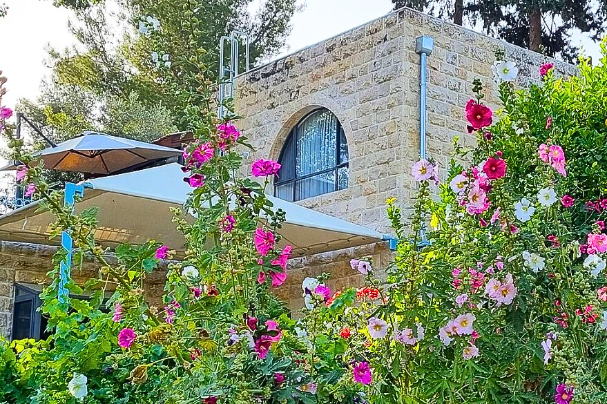 צילום בר