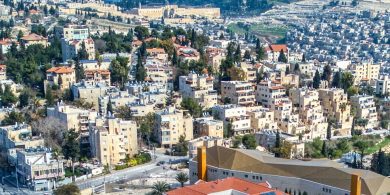 אבו תור - חגי אגמון-שניר, ויקיפדיה