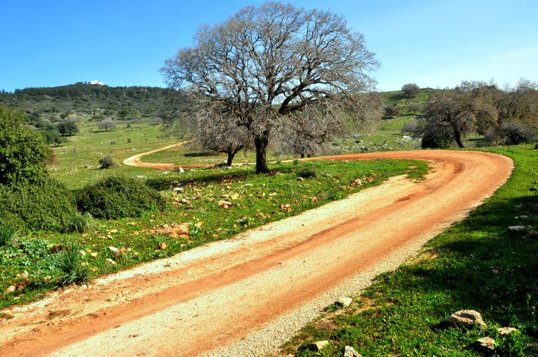 שביל נוף הכרמל, ויקיפדיה