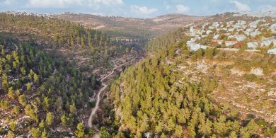 נחל כסלון. חגי אגמון-שניר ויקיפדיה