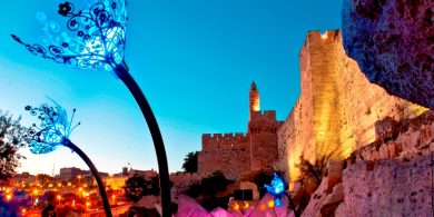 יצירות של דייל צ'יהולי לרגלי מגדל דוד