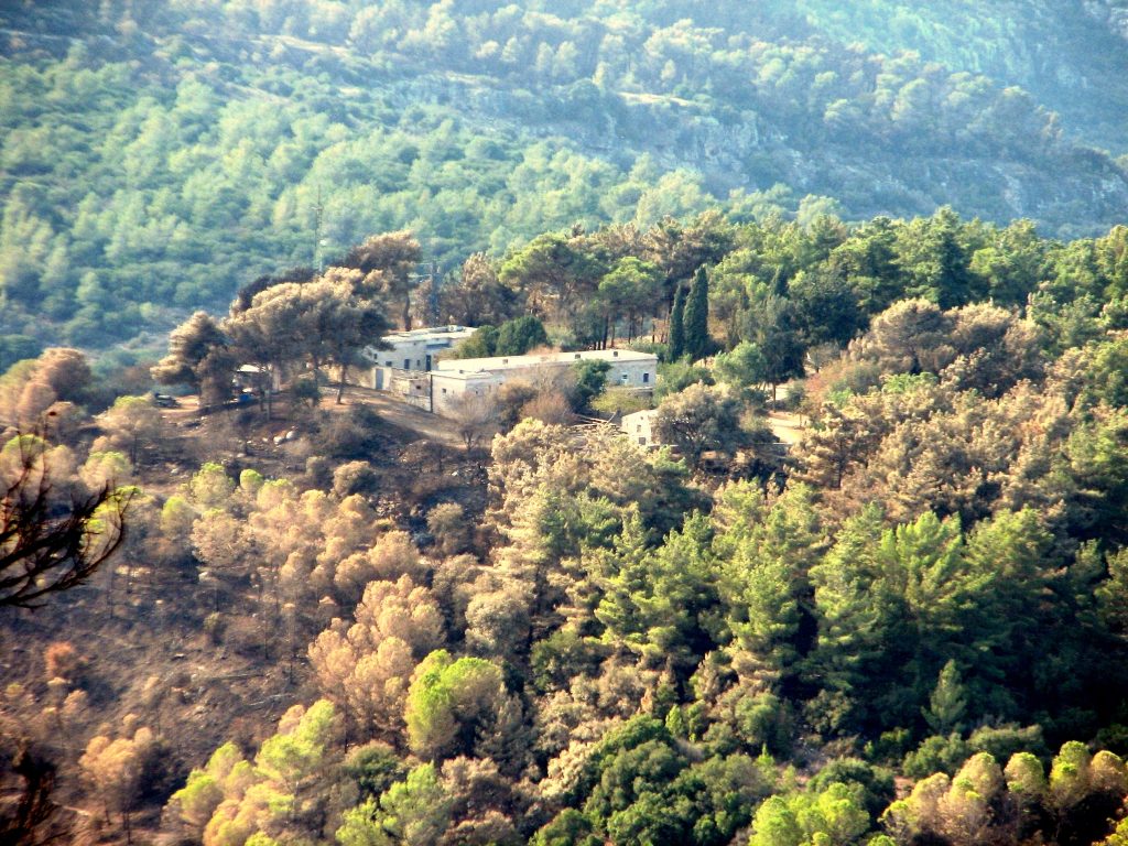 קרדיט- picasa