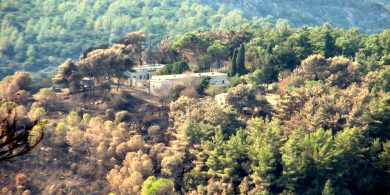 קרדיט- picasa