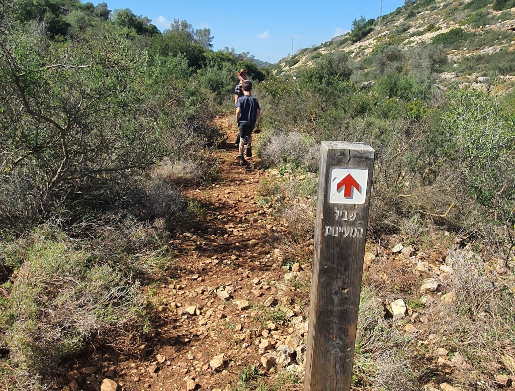 פארק גיבורות התנ"ך