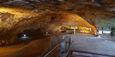 צלם: אוראל זרחי