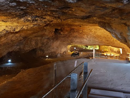 צלם: אוראל זרחי