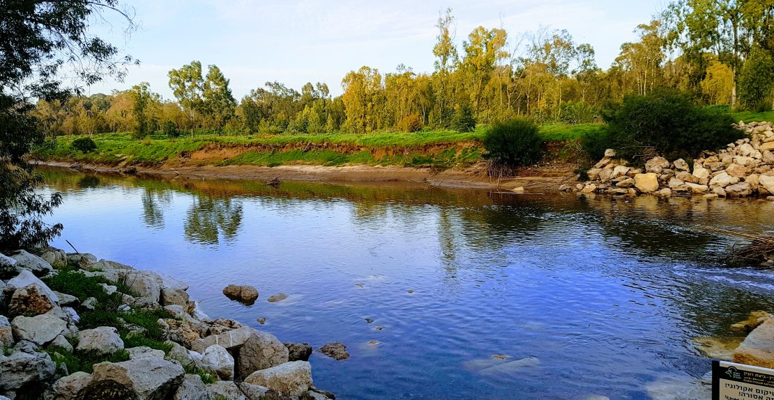 נחל שורק באזור פלמחים, צילום בר, ויקיפדיה