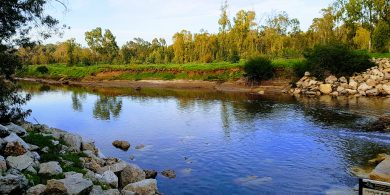 נחל שורק באזור פלמחים, צילום בר, ויקיפדיה