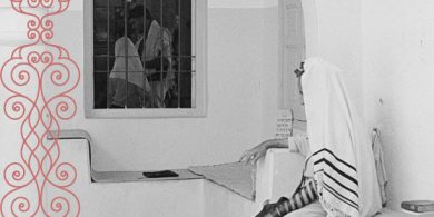 צילום- דיויד בנאינוס