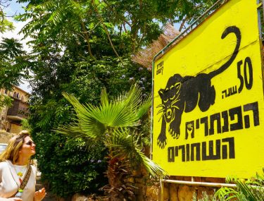 _DSC6966 נטע אביטל