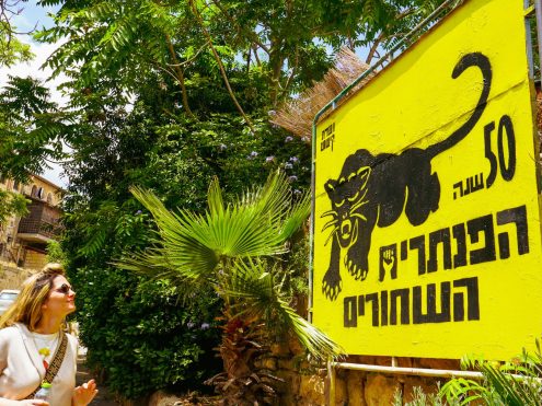 _DSC6966 נטע אביטל