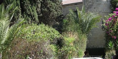 חצר סרגיי, צילום- Deror Avi, ויקיפדיה