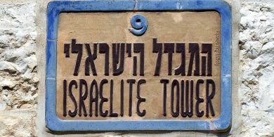 VLUU L100, M100 / Samsung L100, M100