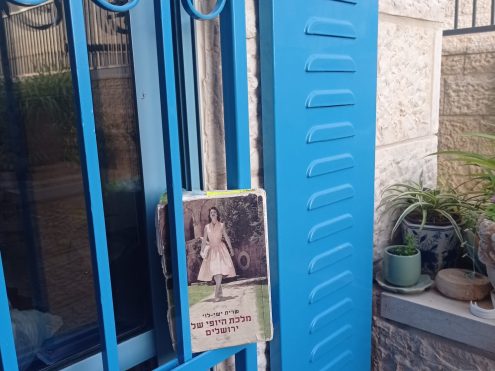 קרדיט- דלילה שמש