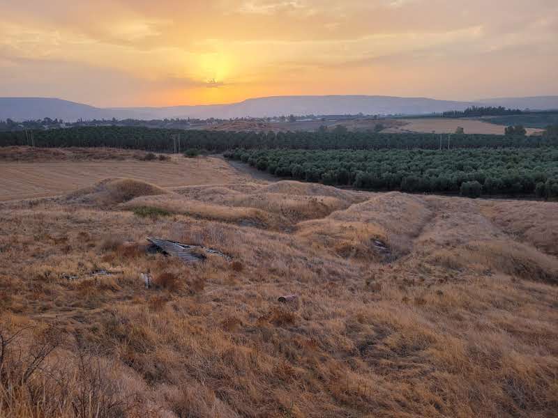 צילום: עומרי ברזילי